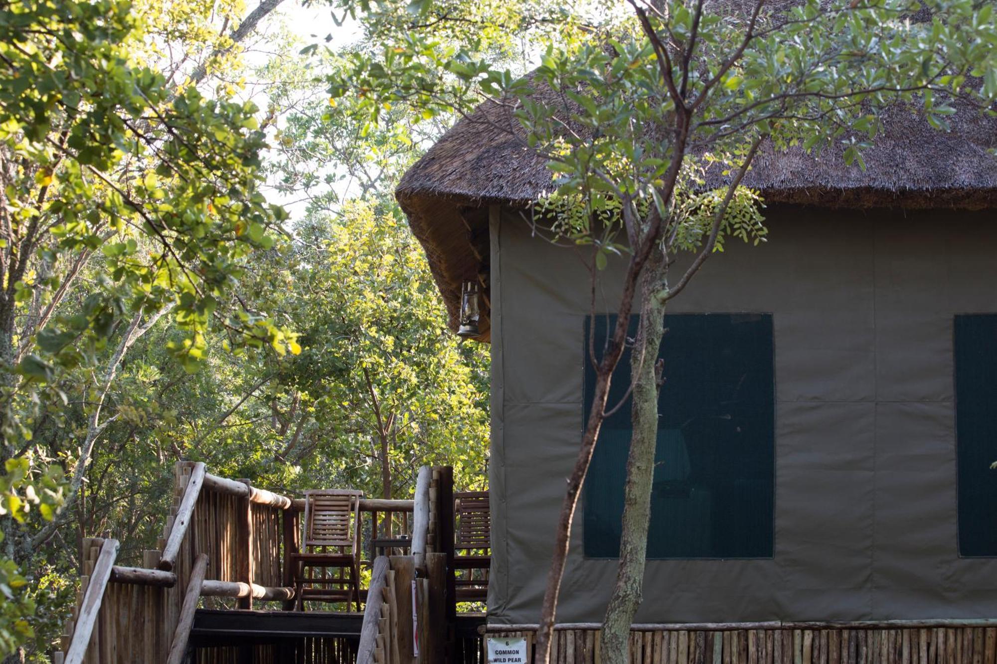 Hotel Honeyguide Ranger Camp Golders Green Pokoj fotografie